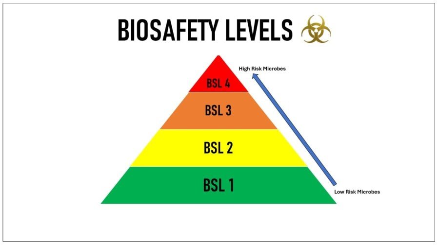 Biosafety levels