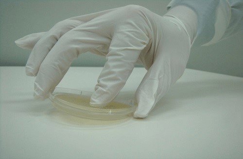 viable-particle-monitoring-surface-contact-sampling
