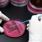 Streak-plate-Essential-Microbiology-Techniques-in-Pharmaceuticals